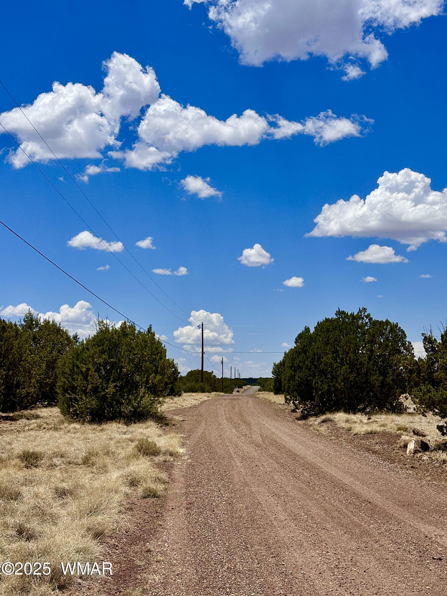 52 County Road Concho, AZ 85924 - Photo 4 of 33 ROAD IN FRONT OF PROPERTY