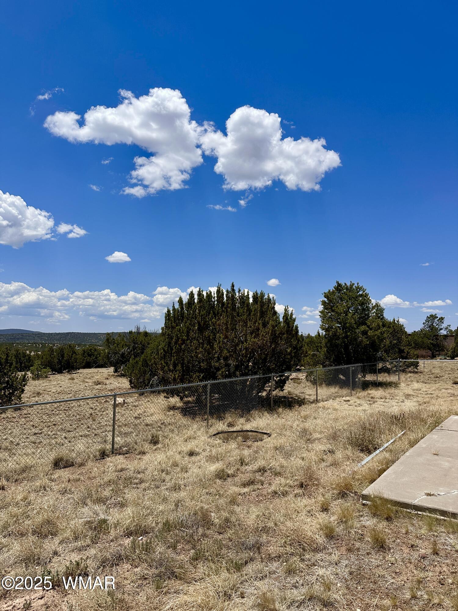 52 County Road Concho, AZ 85924 - Photo 5 of 33 BACK PATIO VIEWS