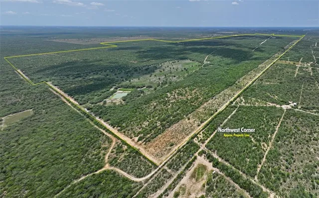 a view of a dry yard with trees