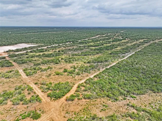 a view of a yard in front of a house with a yard
