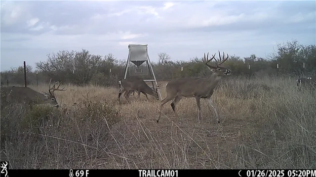 $5,151,000 | 0 Cr 145, San Diego, TX 78384