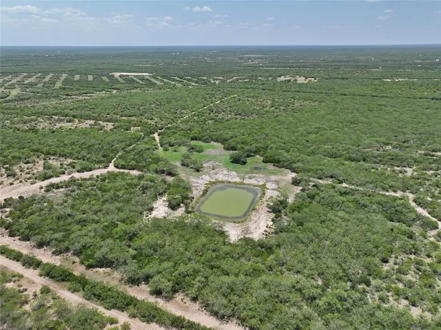 a view of a yard and mountain