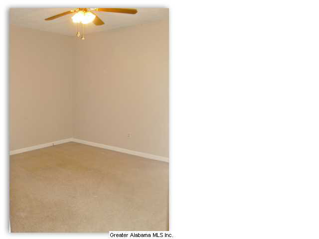5243 Memory Lane Mount Olive, AL 35117 - Photo 9 of 20