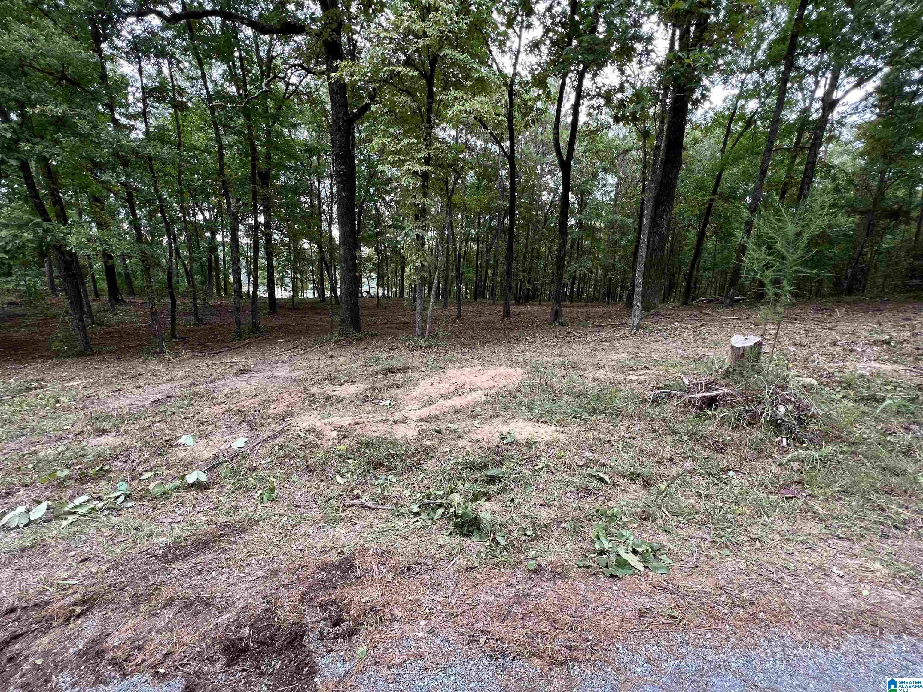 1 Centaurus Circle, Unit 2 Alpine, AL 35014 - Photo 14 of 15