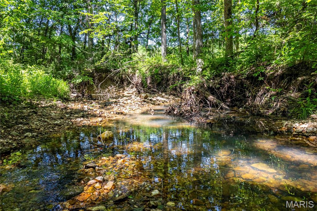2126 Krenning Road Beaufort, MO 63013 - Photo 77 of 99