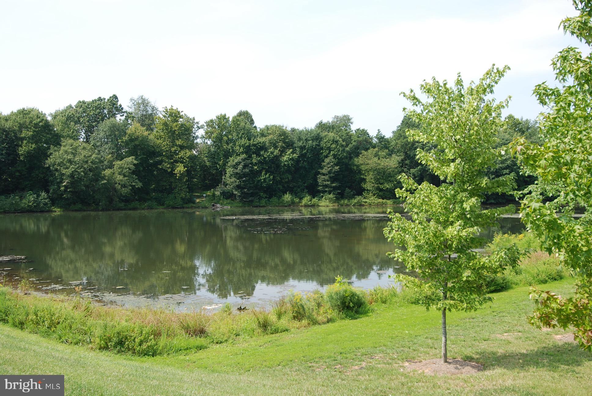 150 Chevy Chase Street, Unit 102 Gaithersburg, MD 20878 - Photo 35 of 41 a body of water with a tree in the background