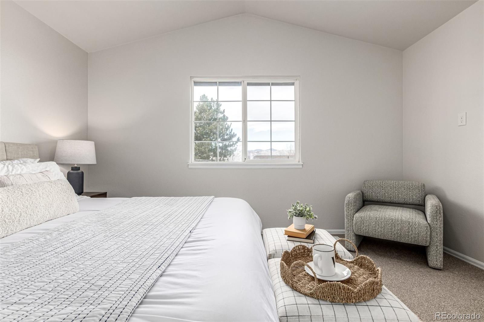 3705 Bucknell Circle Highlands Ranch, CO 80129 - Photo 20 of 42 a living room with furniture and a window