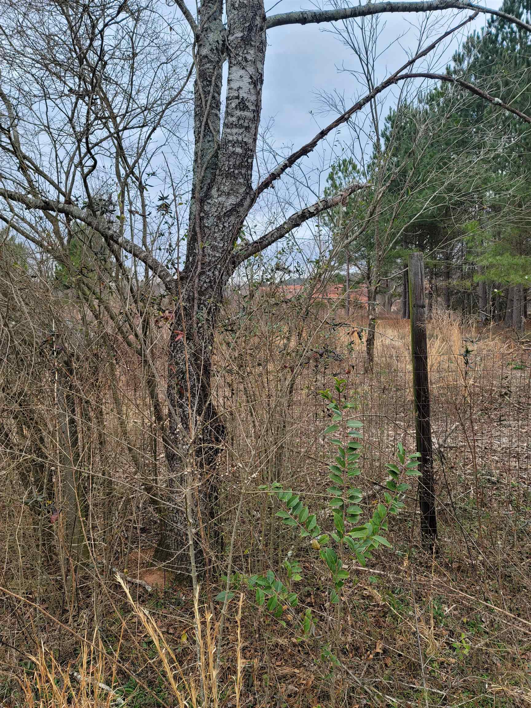 John Dodd Road Wellford, SC 29385 - Photo 10 of 14