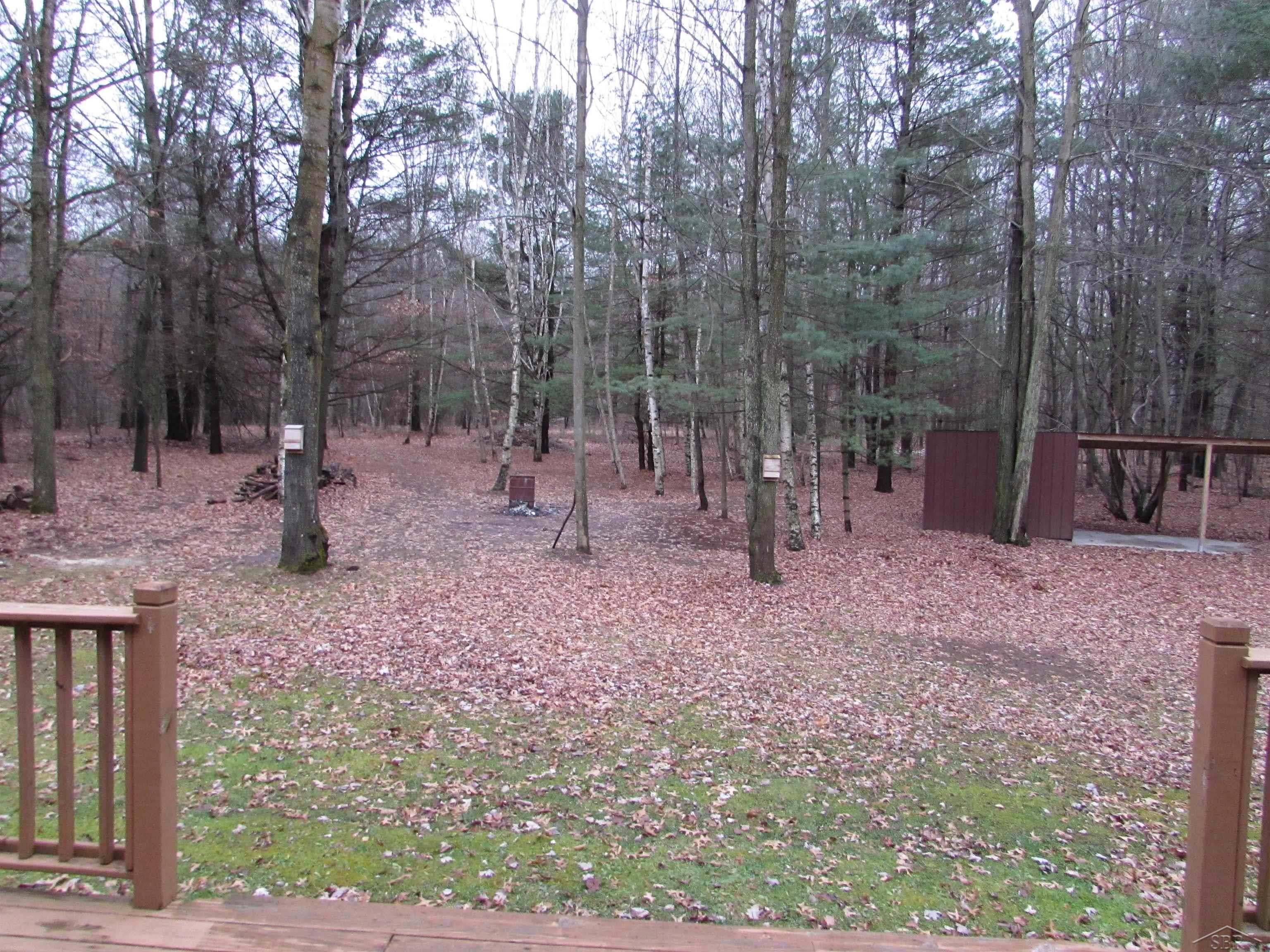 13199 Dempsey Road St. Charles, MI 48655 - Photo 9 of 61