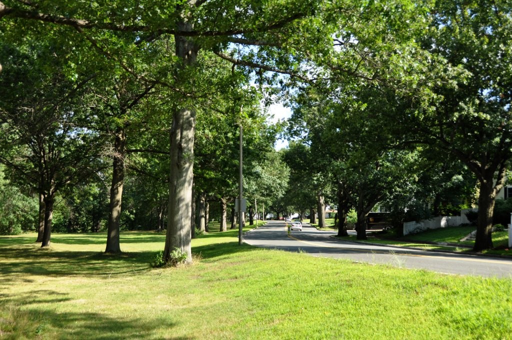 108 Decatur Street, Unit 6 Arlington, MA 02474 - Photo 27 of 30 Gallery Image 27