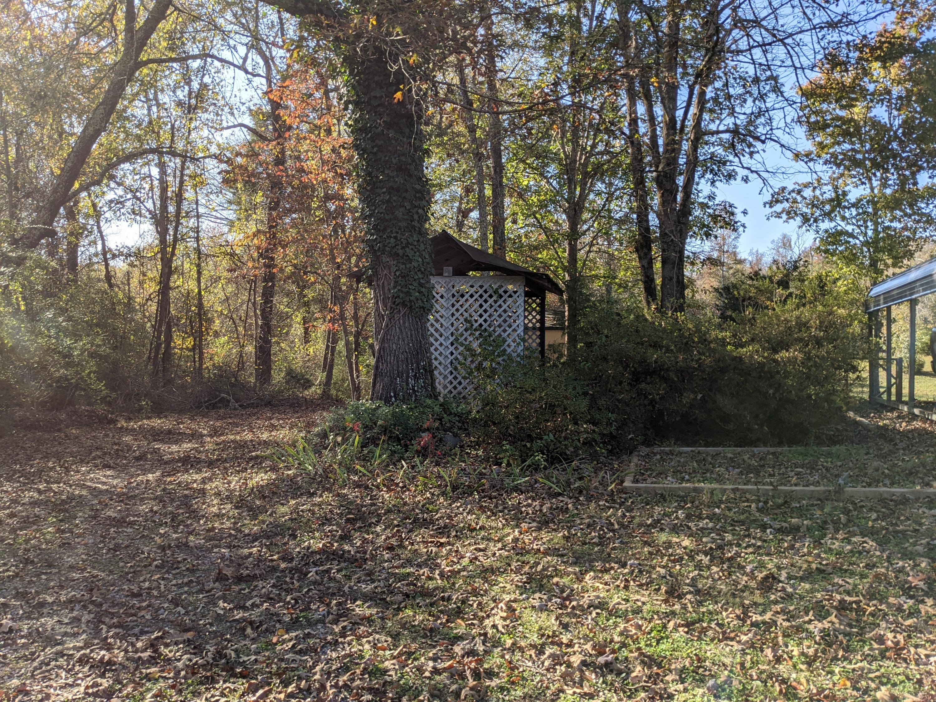 565 Groover Road Spring City, TN 37381 - Photo 20 of 32 PXL_20201101_202944016