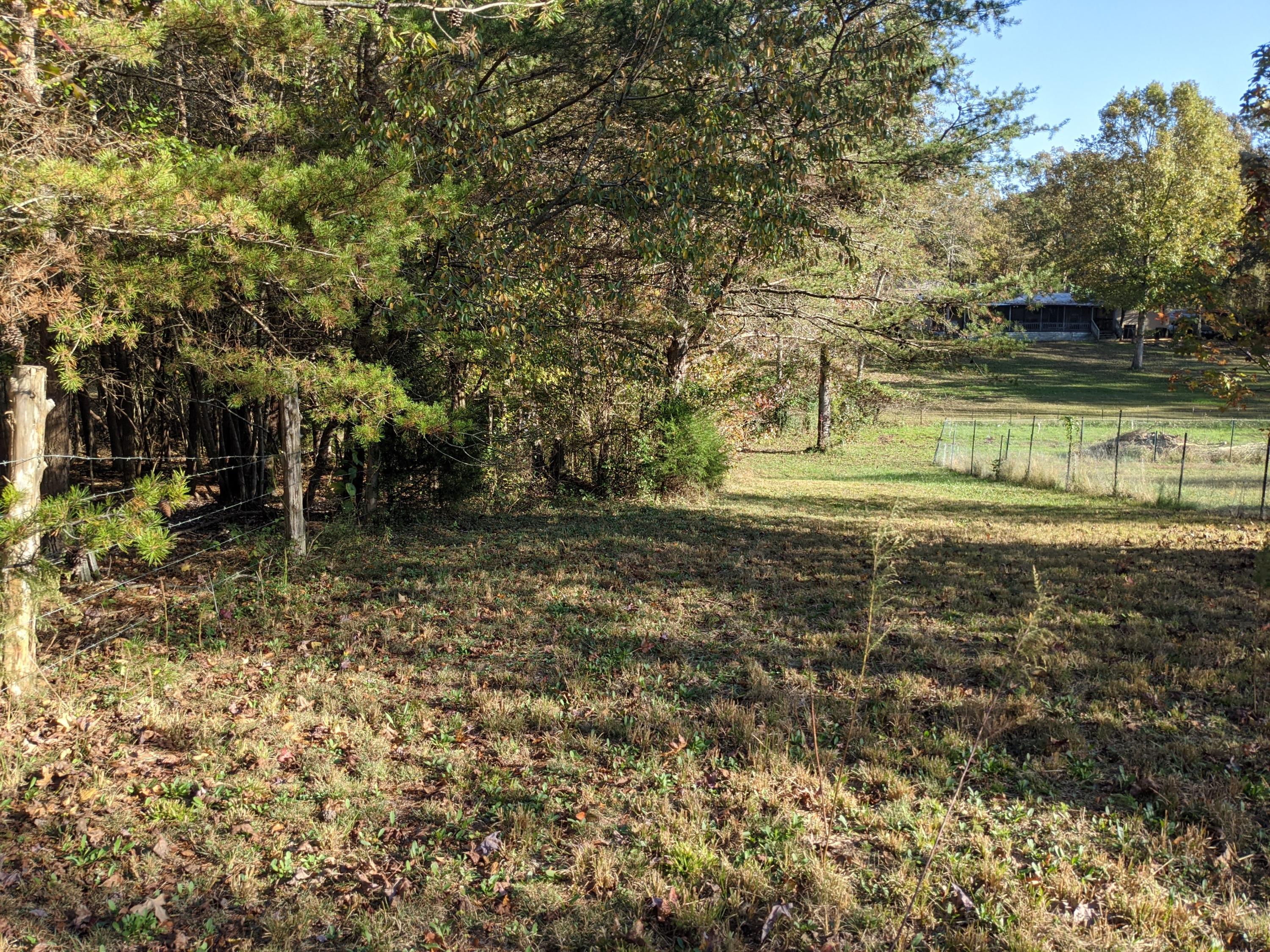 565 Groover Road Spring City, TN 37381 - Photo 32 of 32 PXL_20201101_203511536