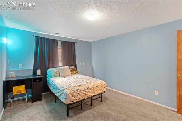 604 Wheat Field Road Fountain, CO 80817 - Photo 21 of 33 Bedroom featuring carpet flooring and a textured ceiling