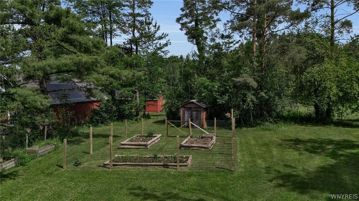 6729 Black Road Evans, NY 14047 - Photo 34 of 50
