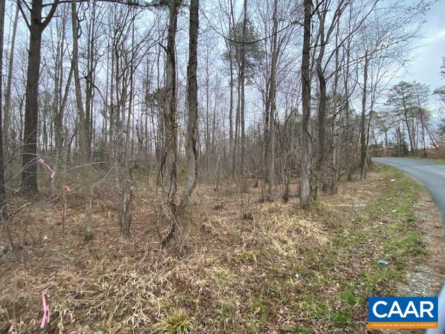 0 Cuckoo Road Mineral, VA 23117 - Photo 10 of 12 Gallery Image 10