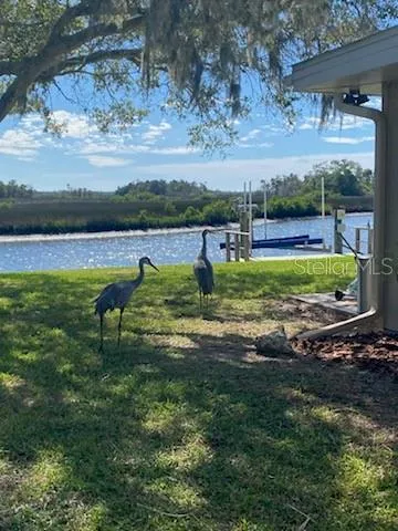 a view of a lake with a big yard