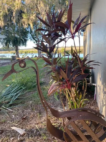 a view of a tree with a tree