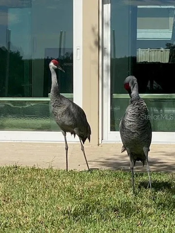 a view of entryway and hall yard