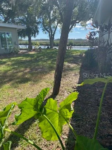 a view of a garden with an outdoor space