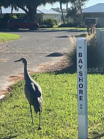 a picture of a lake view