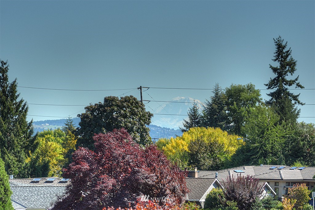 1005 Belfair Road Bellevue, WA 98004 - Photo 4 of 17