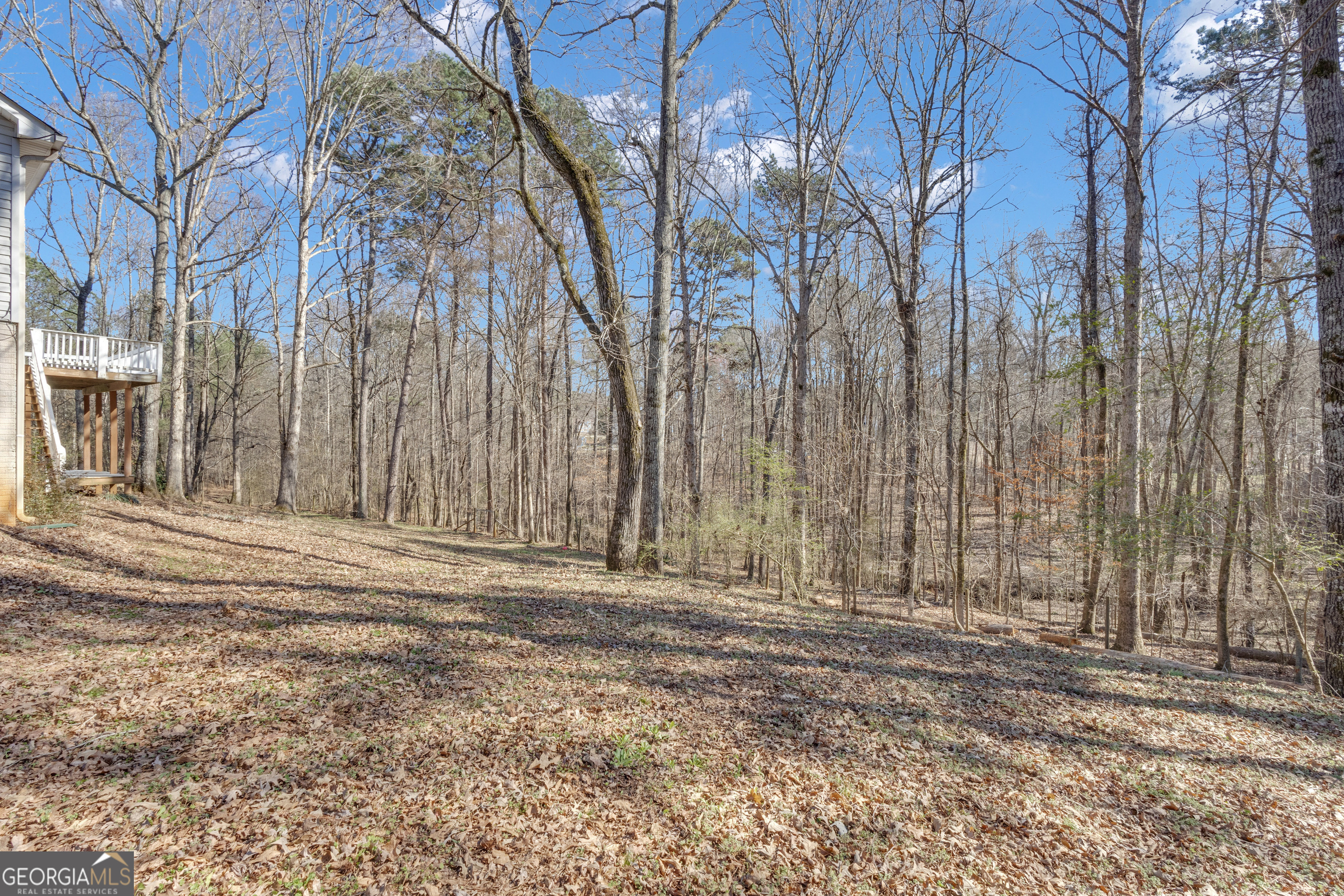 918 Scarletts Walk Locust Grove, GA 30248 - Photo 41 of 46 a view of a backyard of the house