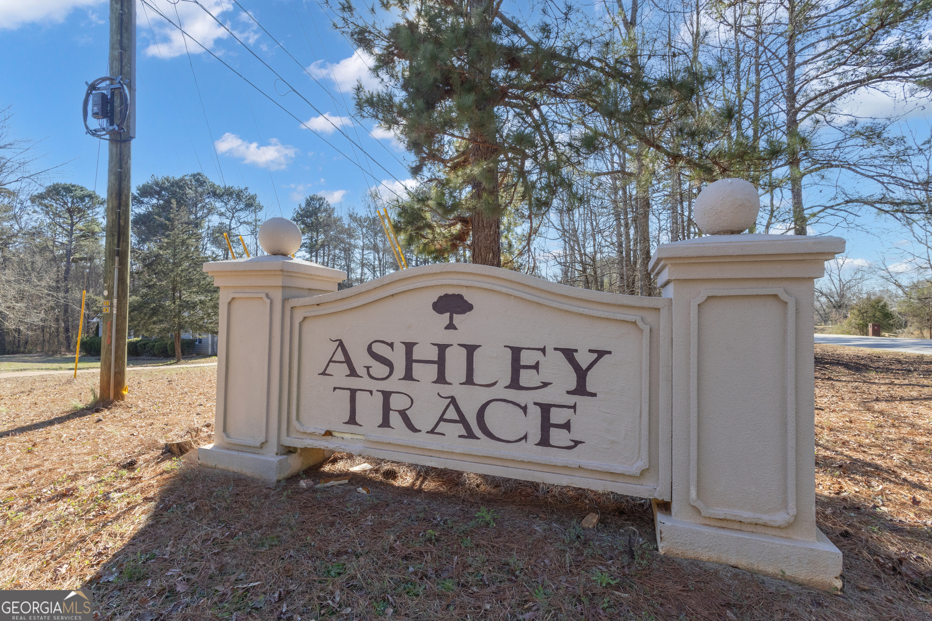 918 Scarletts Walk Locust Grove, GA 30248 - Photo 46 of 46 a sign on the side of the road
