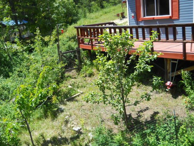 39 Jacknife Cutoff Road Kettle Falls, WA 99141 - Photo 7 of 7 Gallery Image 7