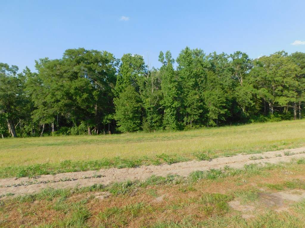 0 Pond Road Andalusia, AL 36421 - Photo 15 of 15 Gallery Image 15