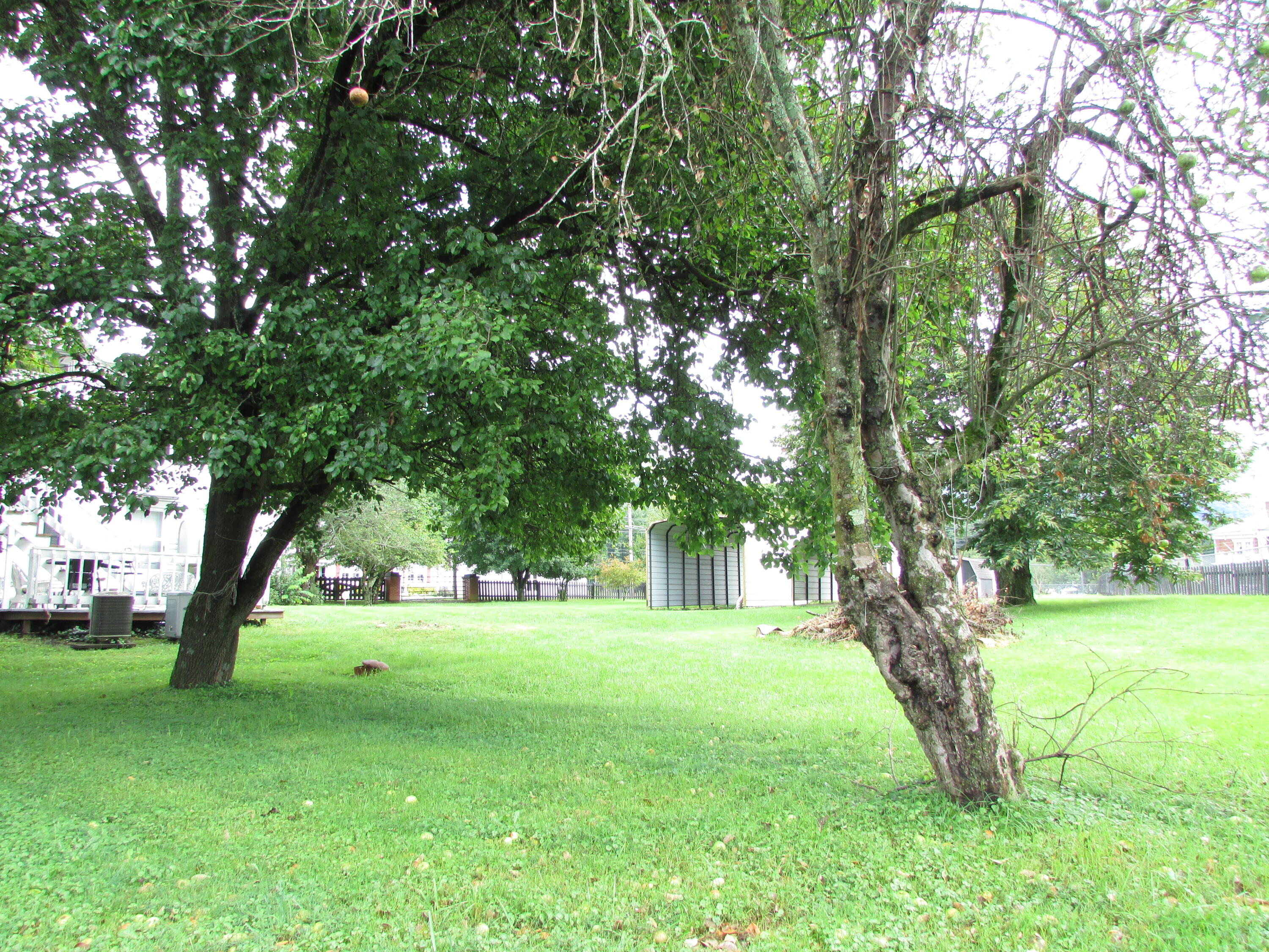 502 1st Avenue Hampton, TN 37658 - Photo 8 of 71 First Ave Hampton TN 37658 (69)