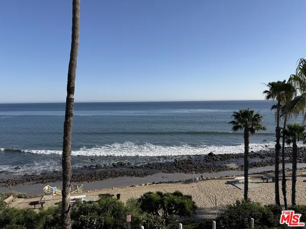 a view of a ocean with a palm tree