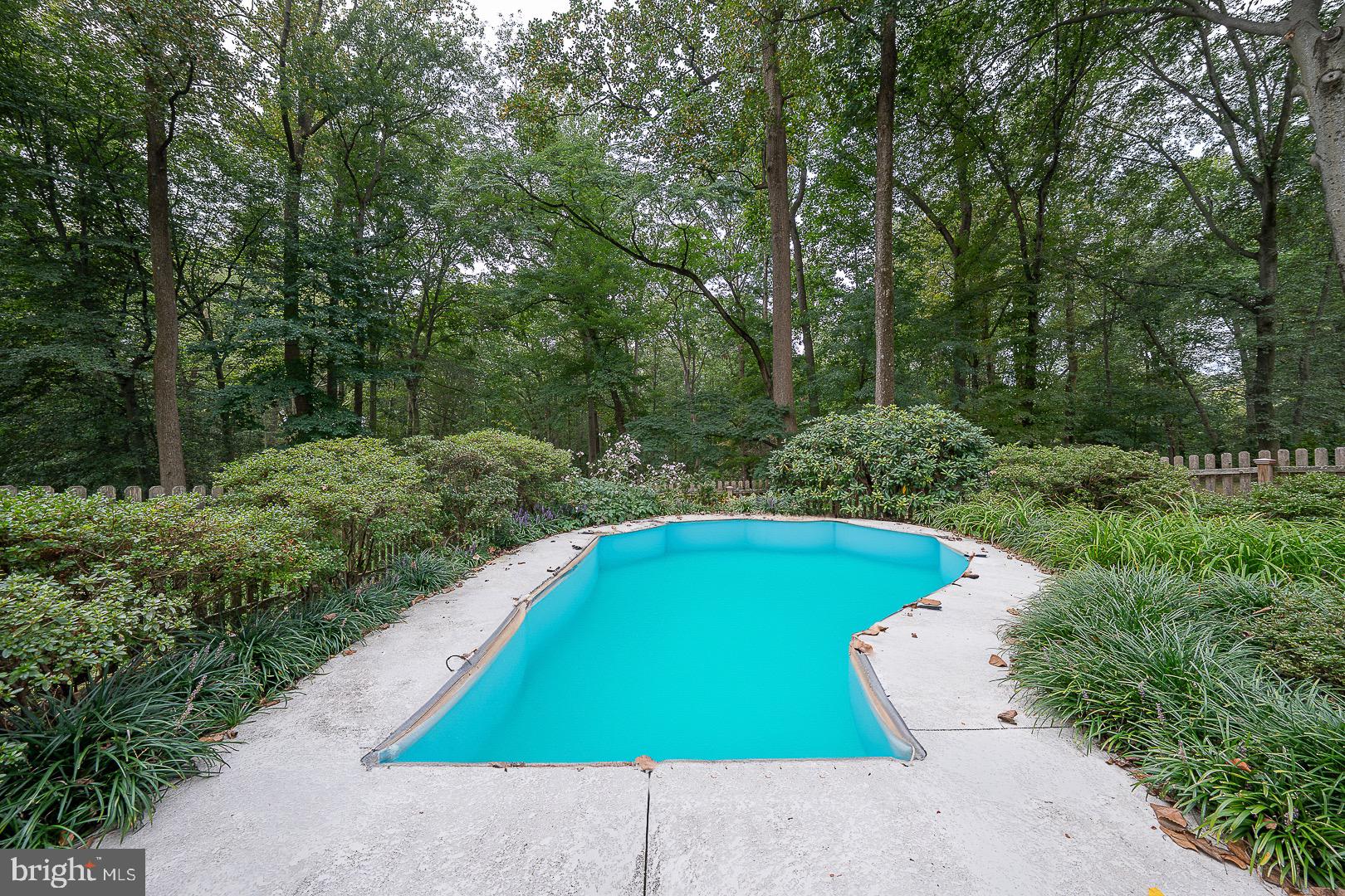 712 Woodcrest Road Wayne, PA 19087 - Photo 28 of 34 Perfect Pool for a dip!