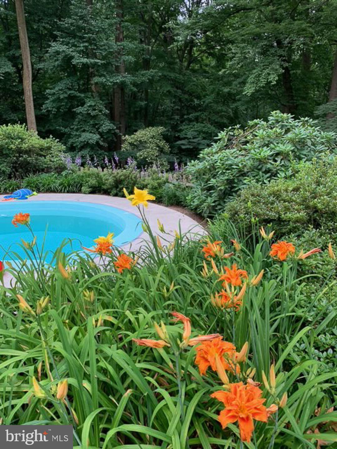 712 Woodcrest Road Wayne, PA 19087 - Photo 30 of 34 Perennial blooms