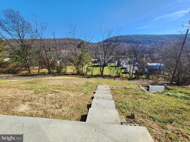 a view of swimming pool with lawn chairs and palm trees