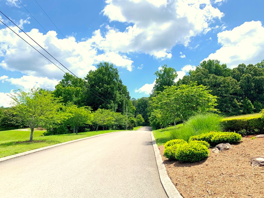 3080 Hidden Lake Road, Unit 8 Dalton, GA 30721 - Photo 6 of 17