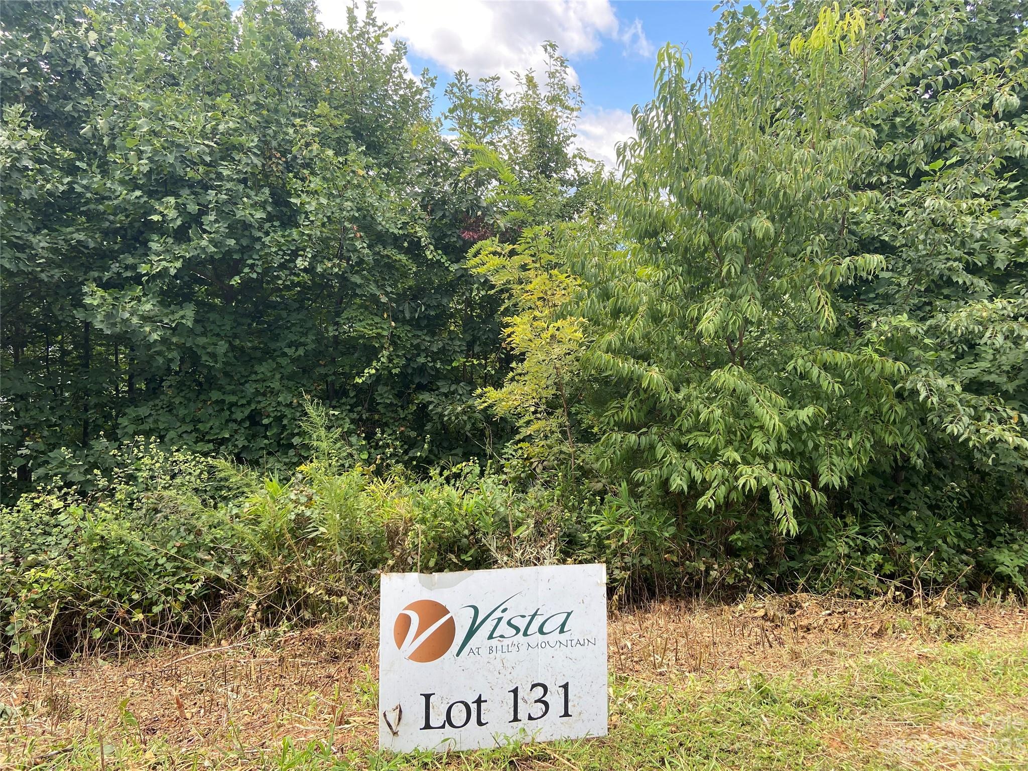 0 Golden Ridge Drive, Unit 131 Lake Lure, NC 28746 - Photo 11 of 14