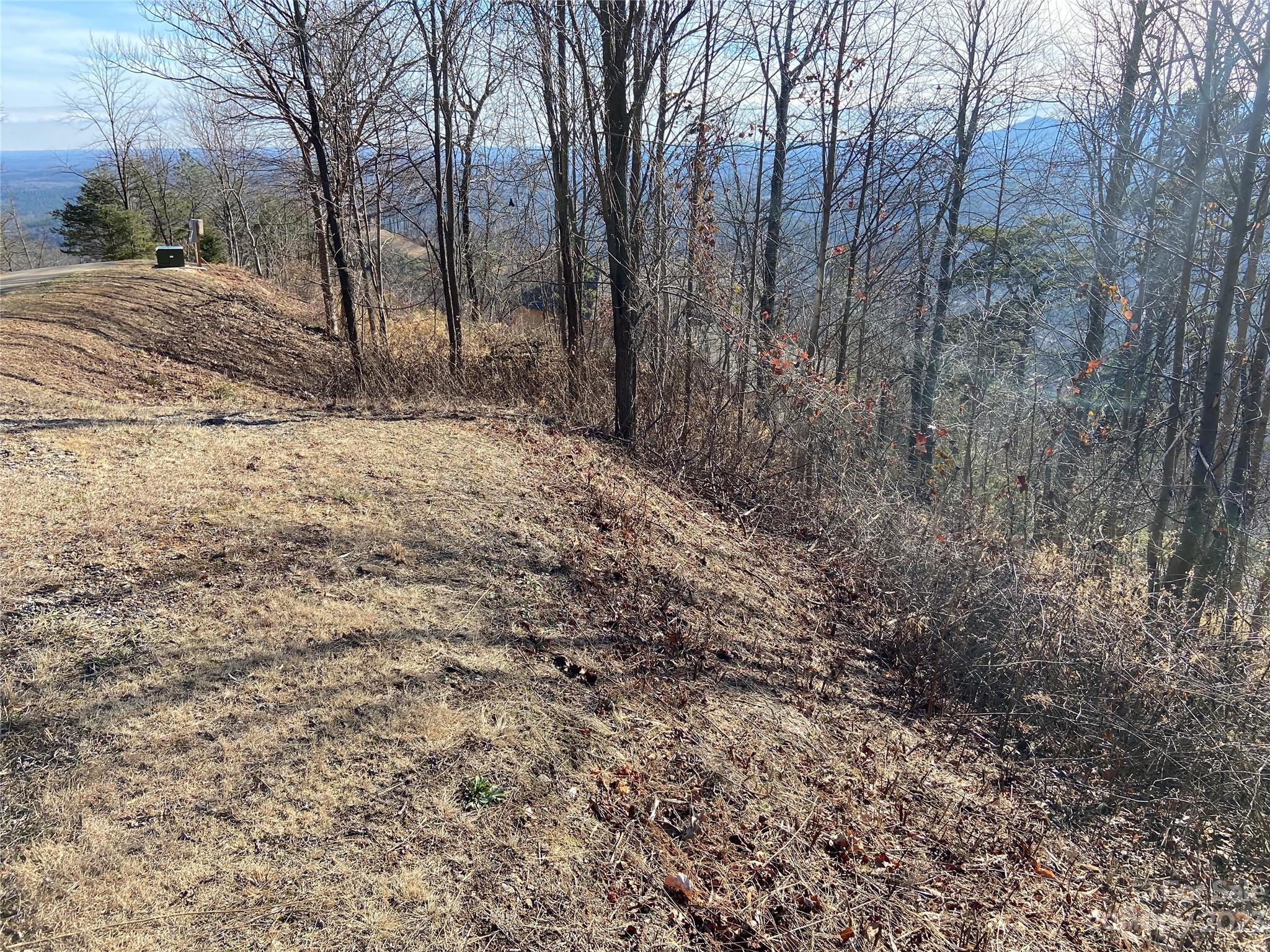 0 Golden Ridge Drive, Unit 131 Lake Lure, NC 28746 - Photo 4 of 14