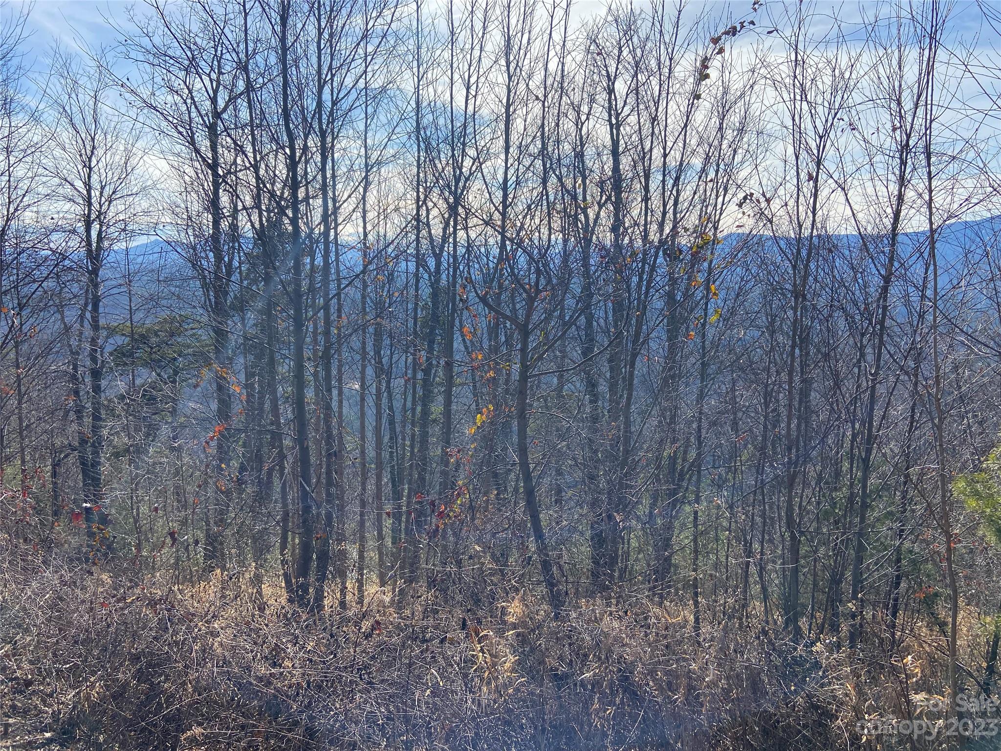 0 Golden Ridge Drive, Unit 131 Lake Lure, NC 28746 - Photo 5 of 14