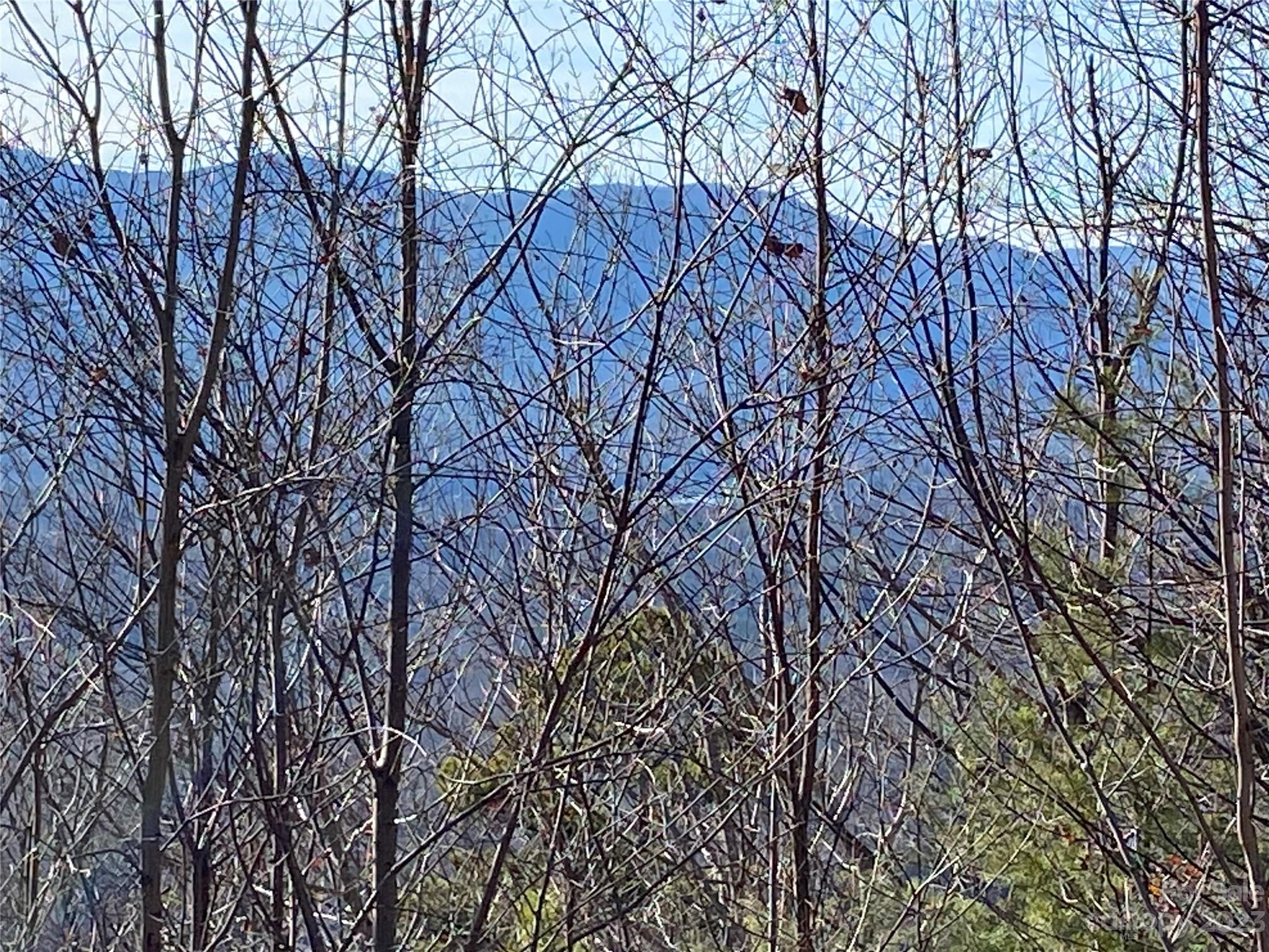 0 Golden Ridge Drive, Unit 131 Lake Lure, NC 28746 - Photo 6 of 14