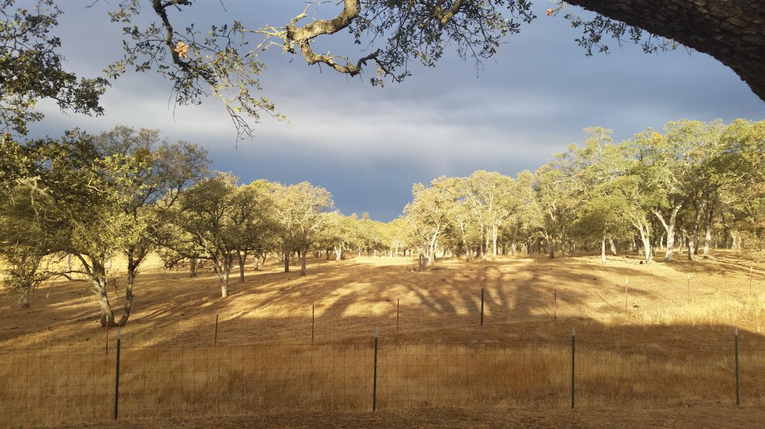 12550 Hogan Dam Road Farmington, CA 95230 - Photo 53 of 75