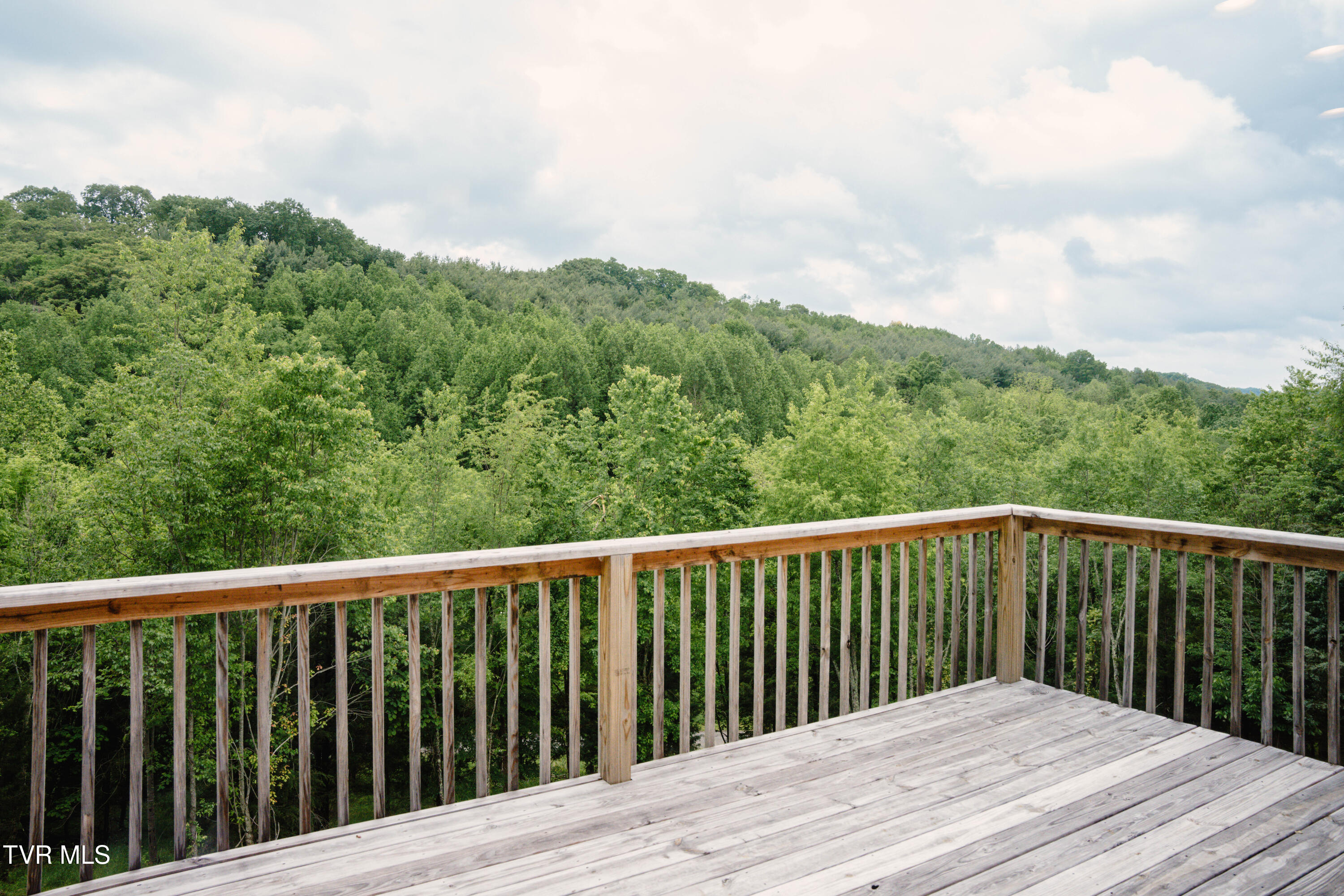 399 Charles Johnson Road Chuckey, TN 37641 - Photo 54 of 69 09700