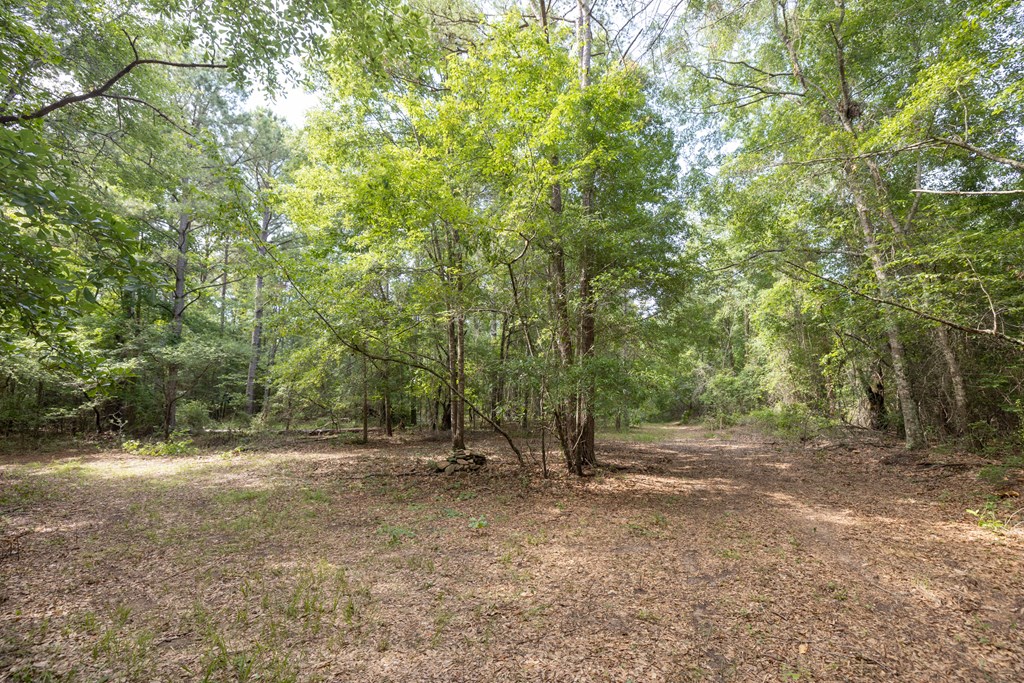 517 East Old Wire Road Butler, GA 31006 - Photo 36 of 40 Gallery Image 36