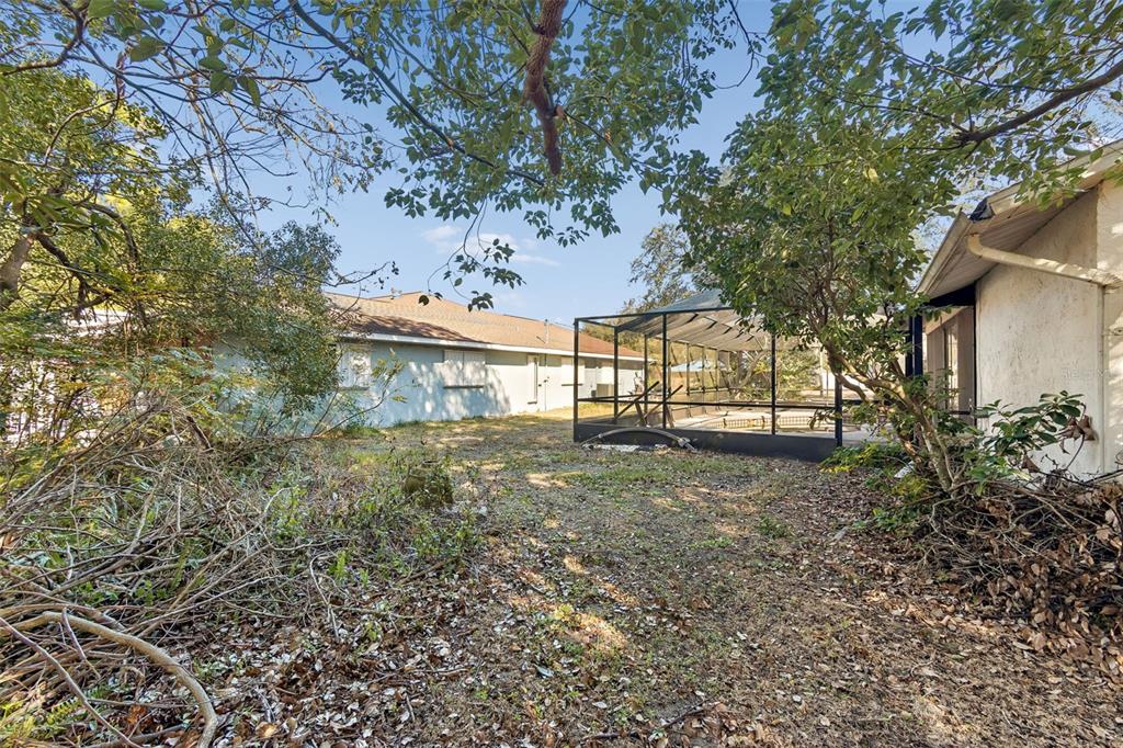 2051 Laredo Avenue Spring Hill, FL 34608 - Photo 56 of 76 a view of a house with a large tree