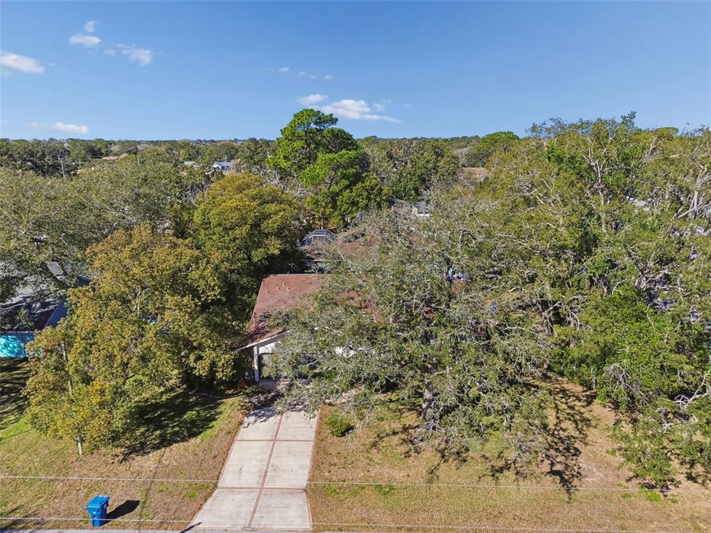 2051 Laredo Avenue Spring Hill, FL 34608 - Photo 63 of 76