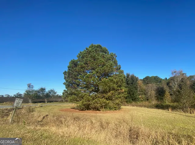 $6,500 | 0 Jeannette Street, Unadilla, GA 31091