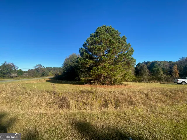 $6,500 | 0 Jeannette Street, Unadilla, GA 31091