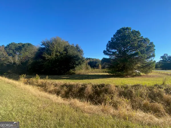 a view of a yard with a house
