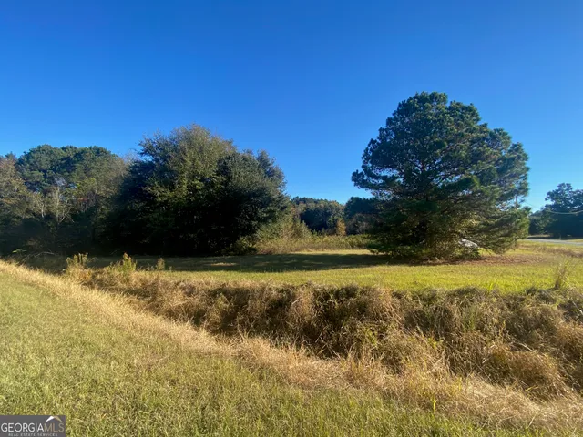 $6,500 | 0 Jeannette Street, Unadilla, GA 31091