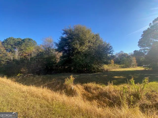 $6,500 | 0 Jeannette Street, Unadilla, GA 31091