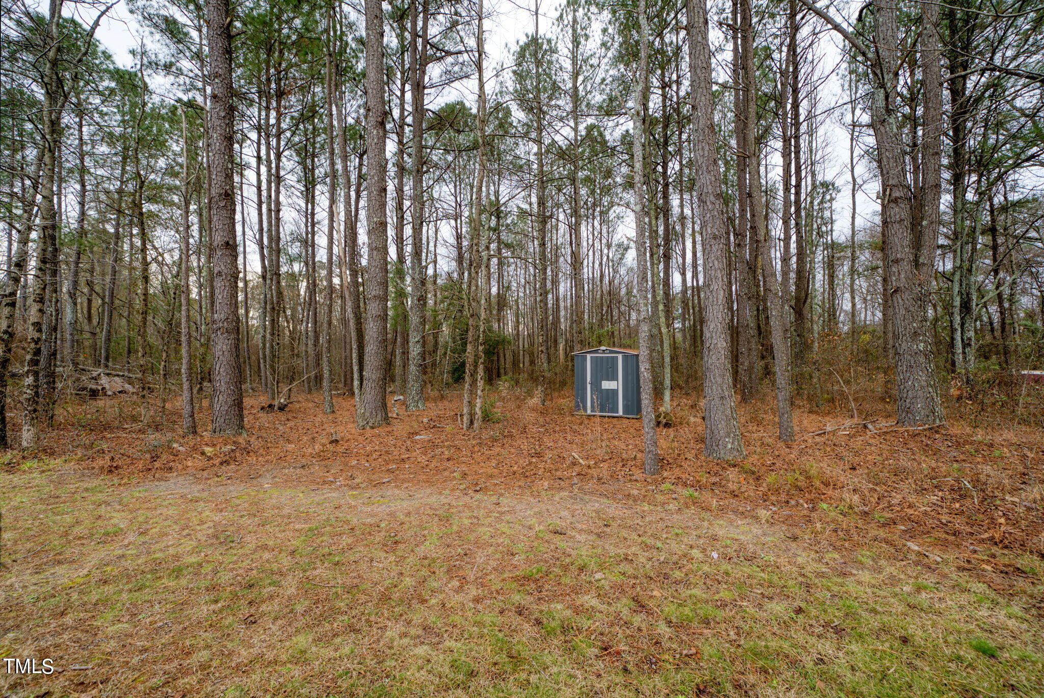 3195 Johnston County Road Angier, NC 27501 - Photo 27 of 31 a view of outdoor space with trees